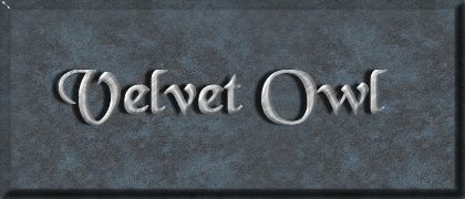 Velvet Owl